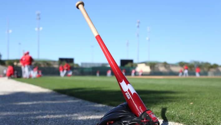 8 Best Fungo Bats for Baseball and Softball in 2022