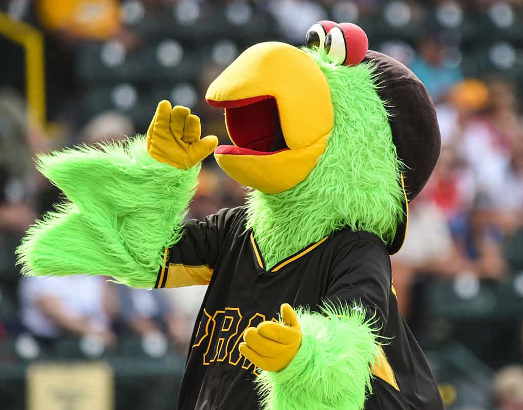 The Pirate Parrot — Pittsburgh Pirates
