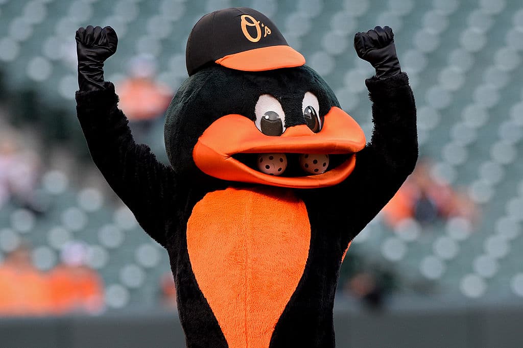 Oriole Bird – Baltimore Orioles
